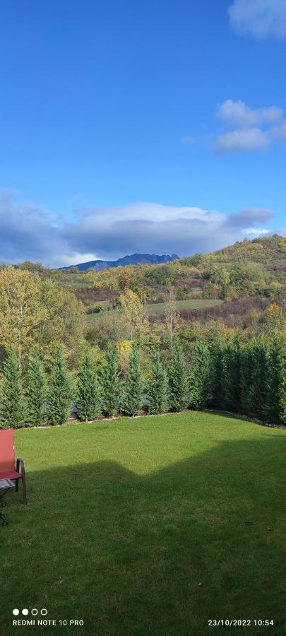 View Cozia Villa Calimanesti Luaran gambar