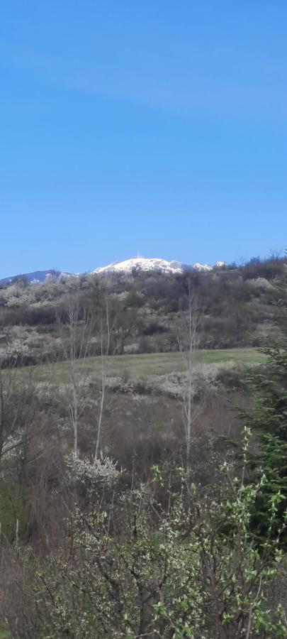 View Cozia Villa Calimanesti Luaran gambar